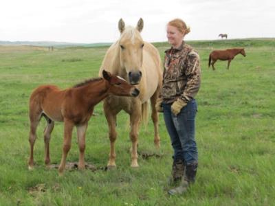 HQ Ima Fanchy Bee <br>AQHA 5710936